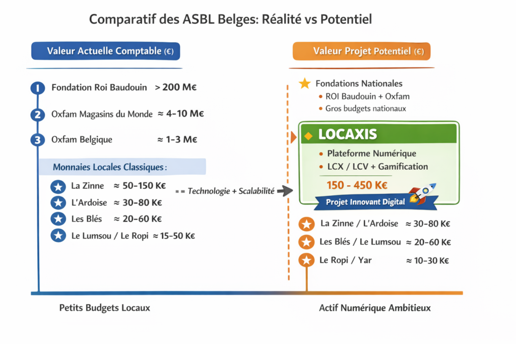 Comparatif des ASBL Belges : Réalité vs Potentiel